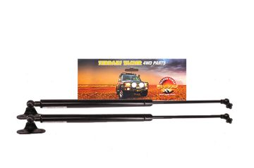 Strut Rear Door Pair